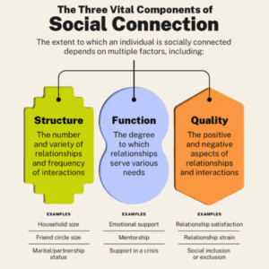 The three vital components of social connection flowchart.